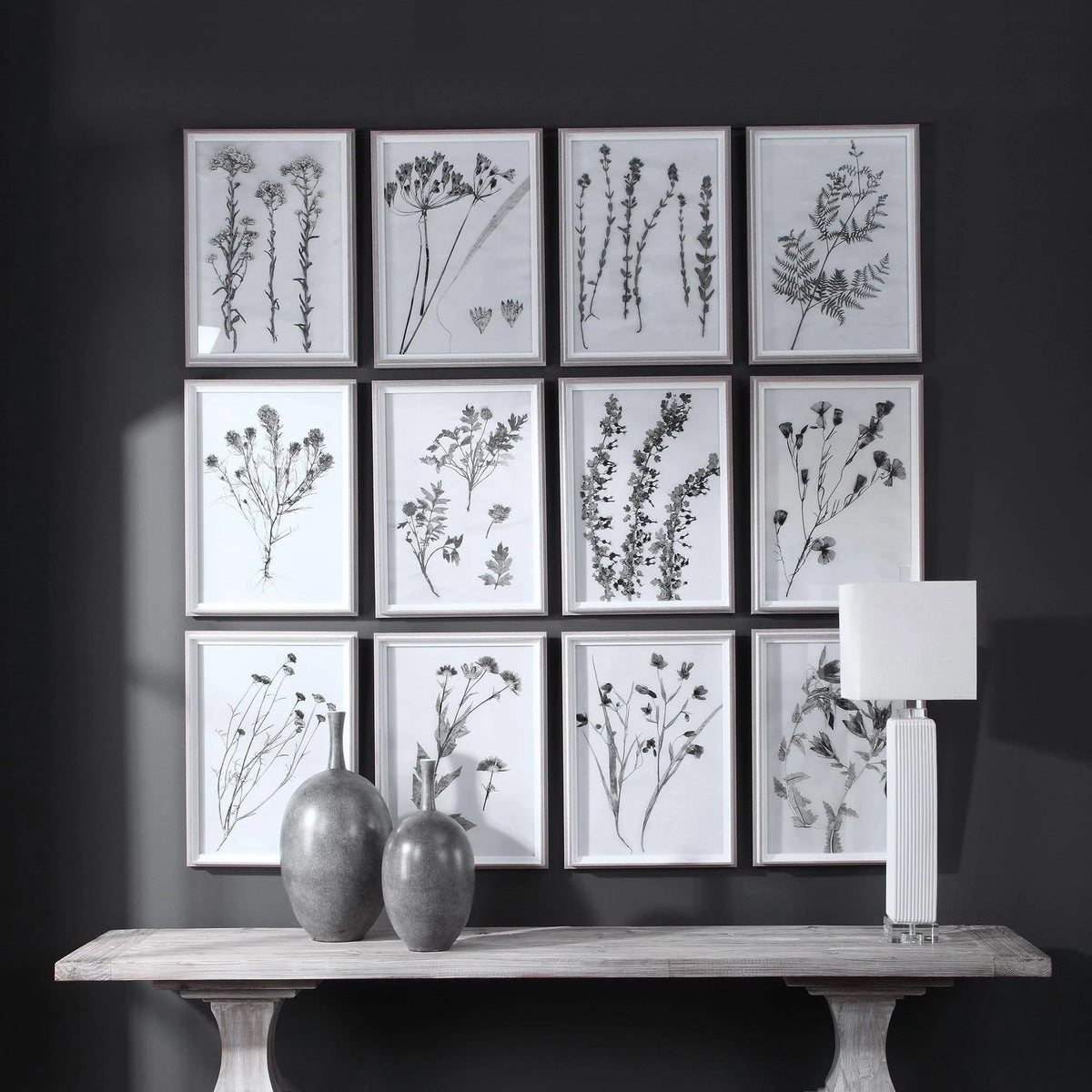 Contemporary Botanicals Framed Prints (Set of 12) J444946
