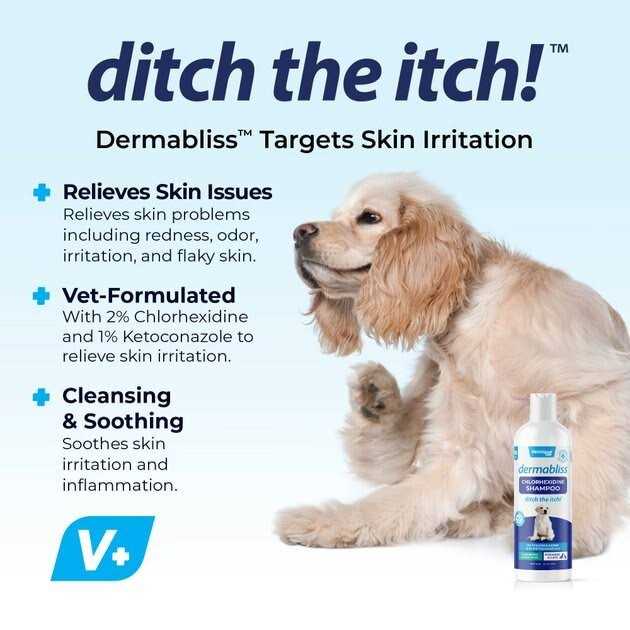 Chlorhexidine Shampoo 16 Oz Bottle For Dogs R84018