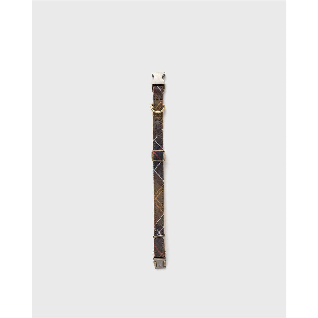 Tartan Webbing Collar F500328