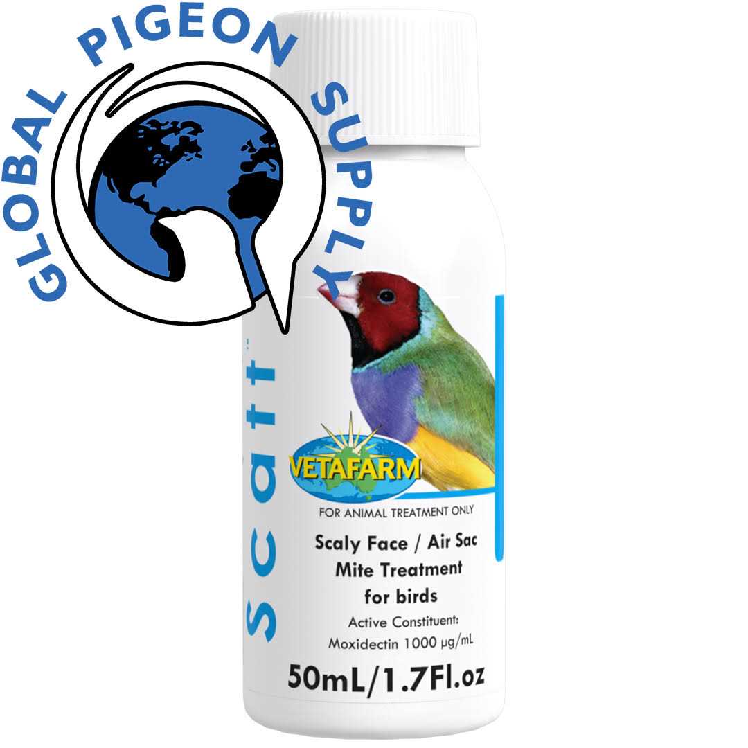 50 ml Pet Supplies V63565