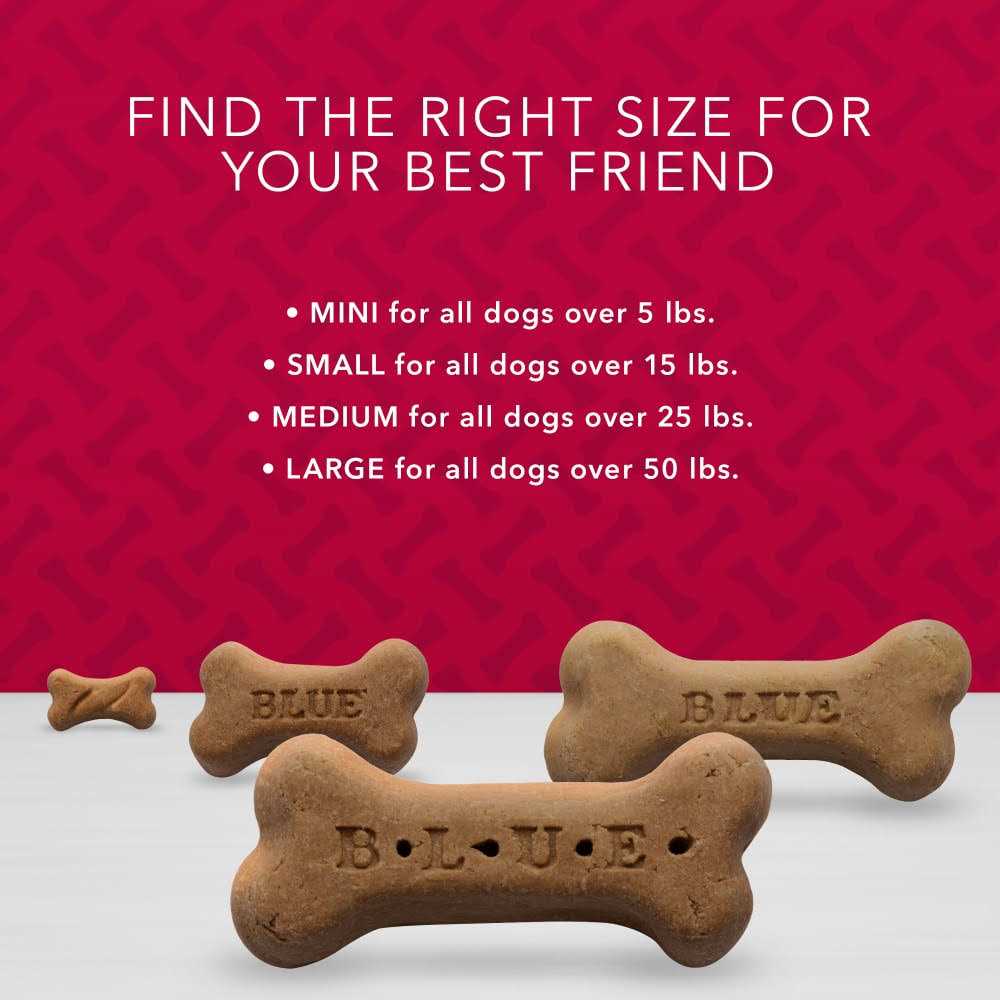 Bones Biscuits E5734