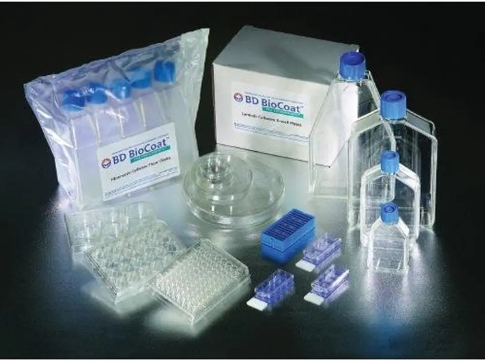 Collagen I L244790
