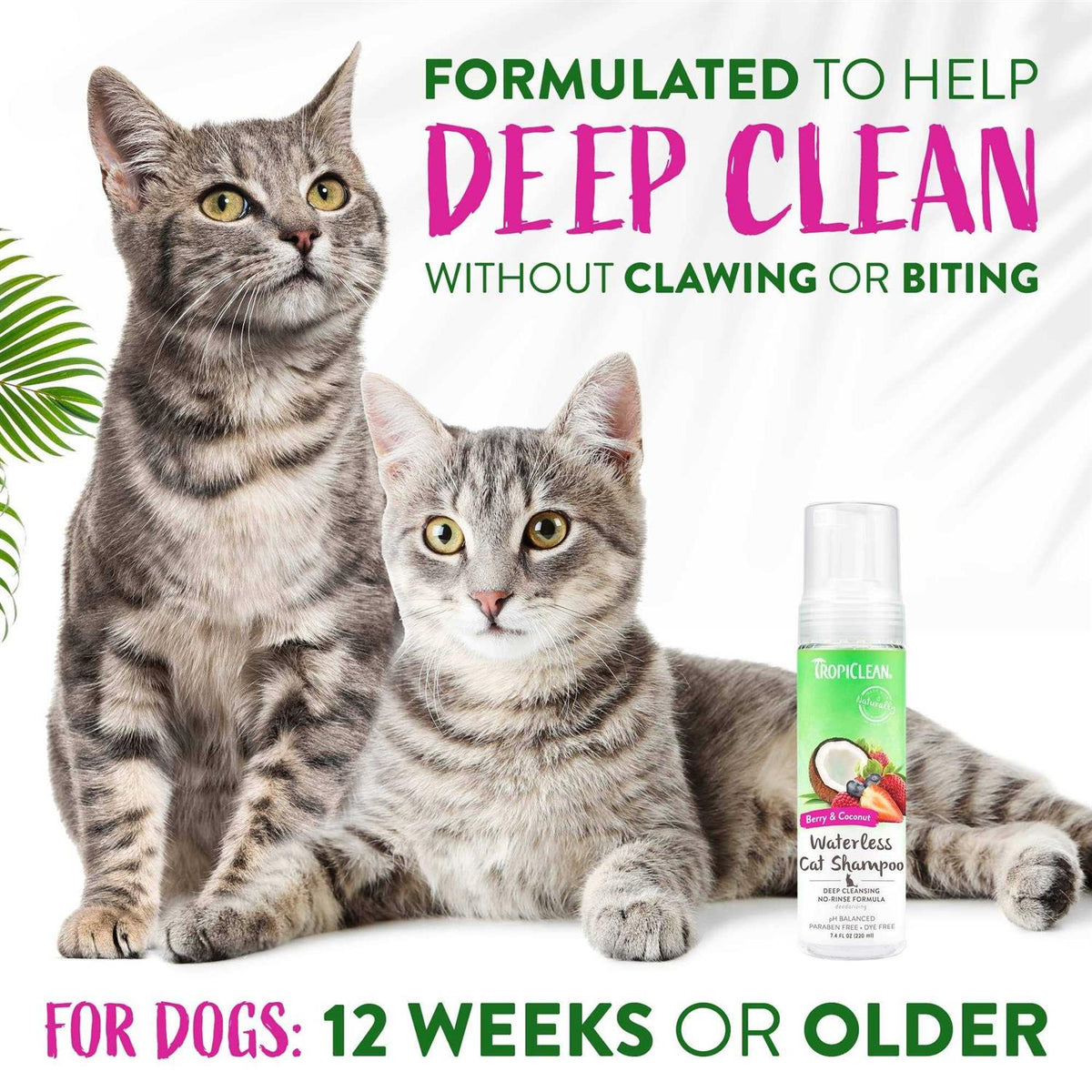 Waterless Deep Cleaning Cat Shampoo U9426