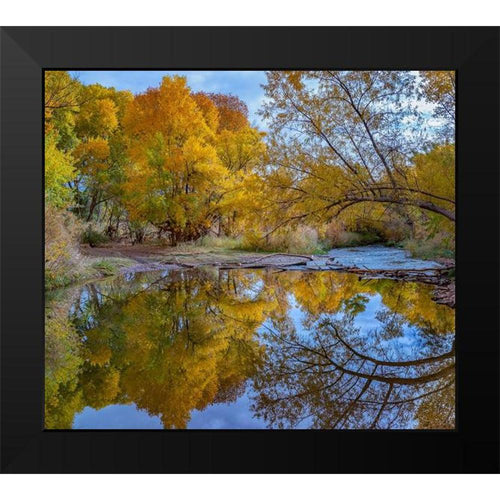 13x12 Black Framed Museum Art Print Q155532