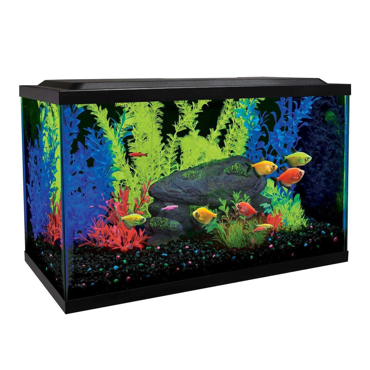 10 Gallon Aquarium Kit A99332